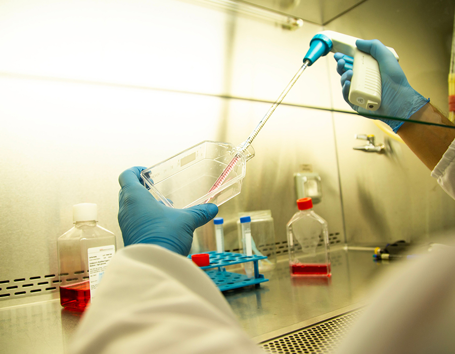 Biotechnology at Pharmaceutical